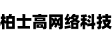 柏士高网络科技